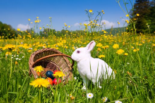 Eier, Hasen und die Auferstehung?